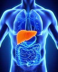 liver illness alarming in India