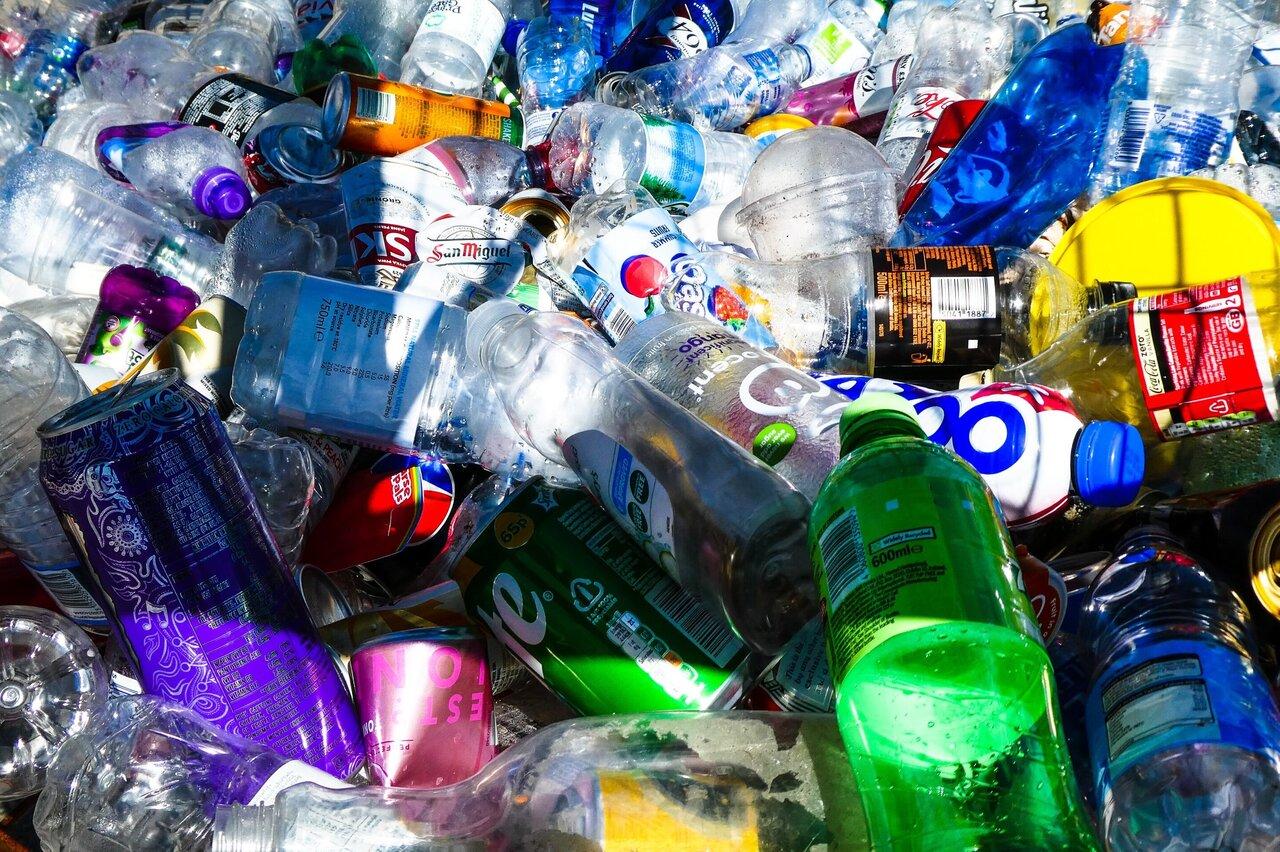 Plastic not fully biodegradable: BIS