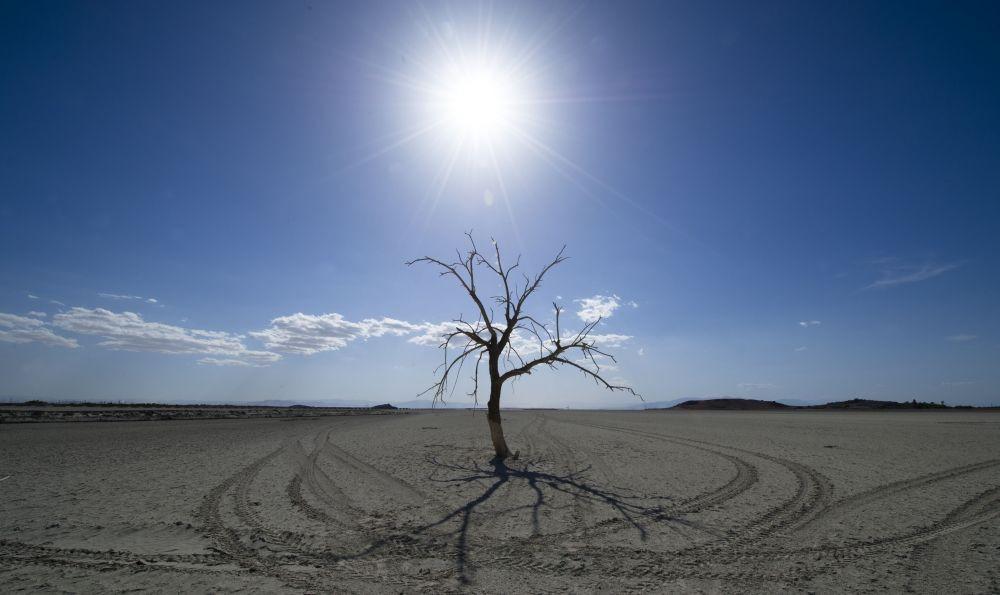 2023 to become hottest year ever recorded