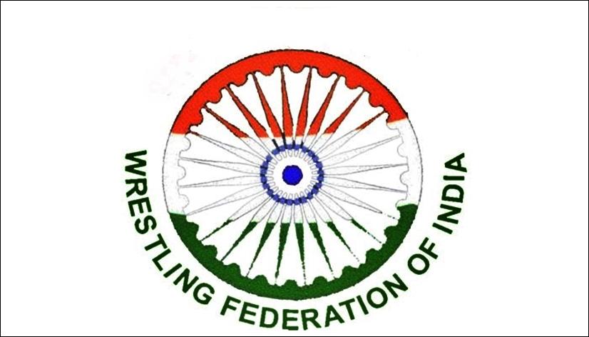 Two wrestlers move Delhi HC against exemption to Bajrang, Vinesh