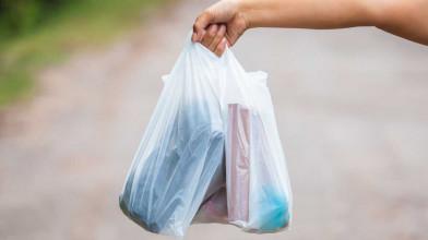 80 pc want paper bags in place of plastic bags: Poll